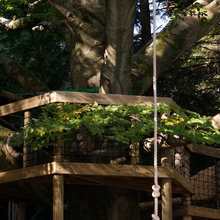 treehouses