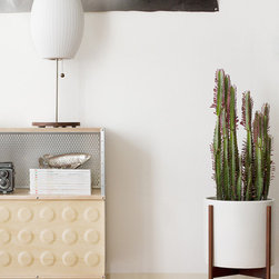 Case Study Cylinder Planter with Wood Stand - Indoor Pots And Planters