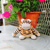 Sorei Haneys foto