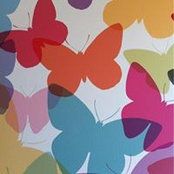 Lauren Sandham's photo