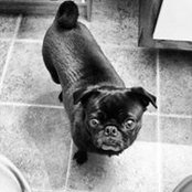 Casey Anderson's photo