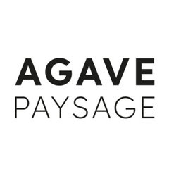 Agave Paysage
