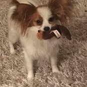 Jeanne Mallard's photo