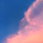 Tara Ridgedell's photo