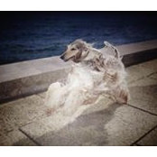 Eléonore Fontaine's photo