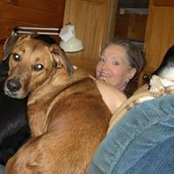 Kathy Kramers foto