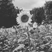 Foto von Bertille Moreau