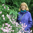 Firefly Garden Design, LLC's profile photo