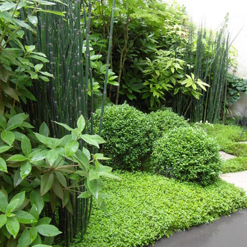 Petit jardin contemporain parisien