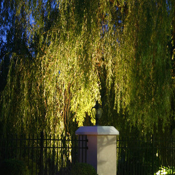 Tree Lighting - Weeping Willow