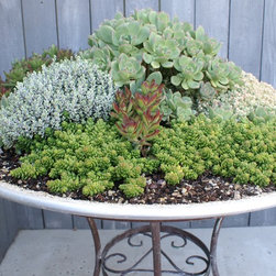 We Love Making Planters - Outdoor Pots And Planters