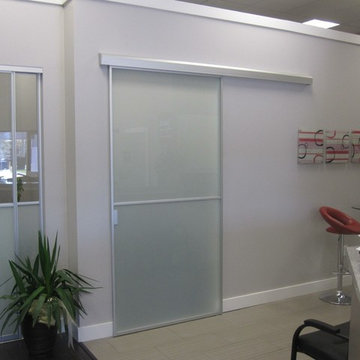 Barn doors frosted glass