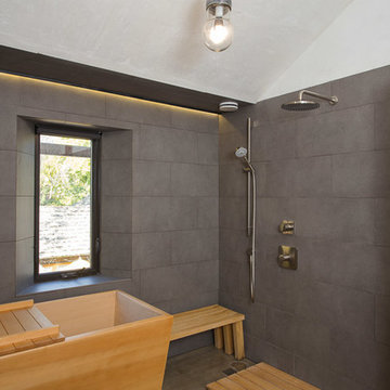 Reclaiming the Gully House, A LEED Platinum Remodel