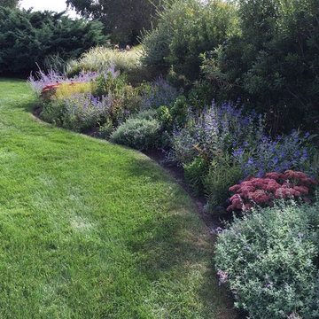 Pollinator and Rain Gardens