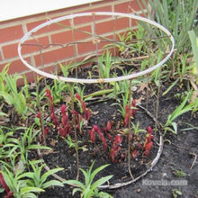 Landscaping Ideas