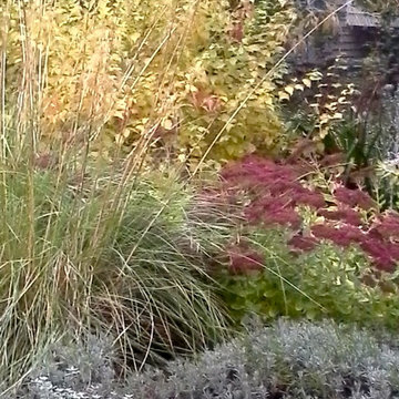 garden design