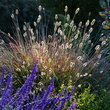 Grass Landscaping