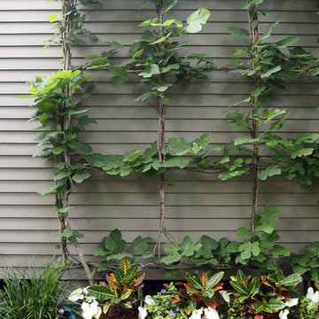 My Houzz: Peek Inside an Artist’s Updated Shotgun Home and Studio
