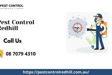 Pest Control Redhill
