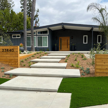 Mid Century Modern drought tolerant