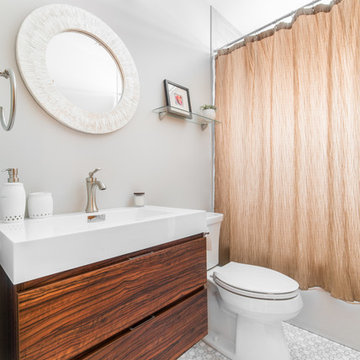 Chicago Basement Bathroom