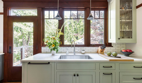 Get the Most Out of Your Kitchen’s Undersink Area