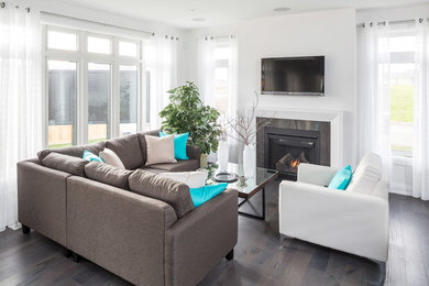 Living room - contemporary living room idea in Toronto