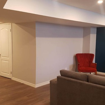 Brand New Basement