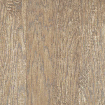 Petrified Hickory- Relic
