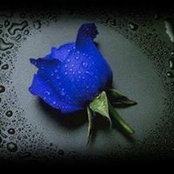 Foto von Carol Hagan