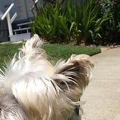 Joseph Hollinger's photo
