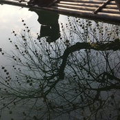 Photo de huazi