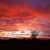 Jacqui Palmer's photo