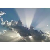 Amanda Leutzinger's photo