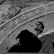 Mostafa Sohrabiさんの写真