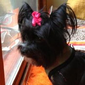 Sara Berg's photo
