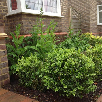 Small front garden in Bromley