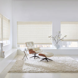 Window Shades - Window Treatments