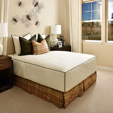 Delaney model home in Colorado