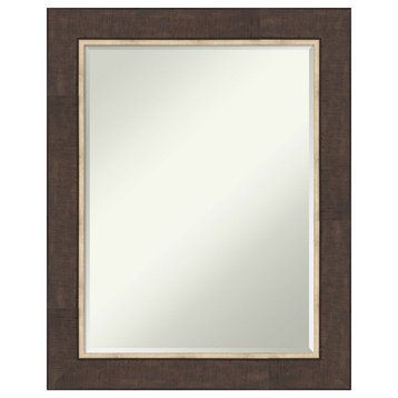 Lined Bronze Petite Bevel Wall Mirror 23 x 29 in.