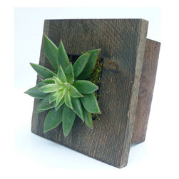 Mini Grovert Wall Planter - Gray - Products