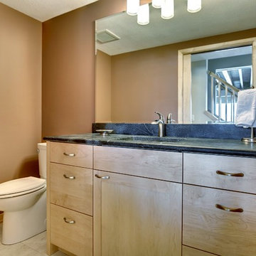 Woodbury Contemporary Lower Level