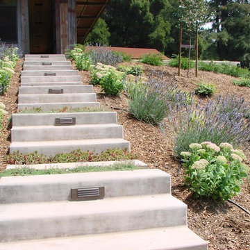 Decks Pathways