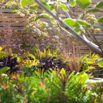 Compact back garden space for accessibility.