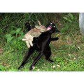 Terri Cirvello's photo
