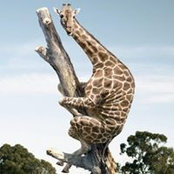 Catherine Tissier's photo
