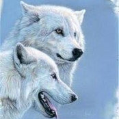 Jim Beck's photo