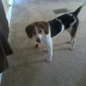 Nicole Barger's photo