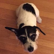 Meredith Scurci's photo