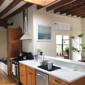 Kitchen Gut Renovation